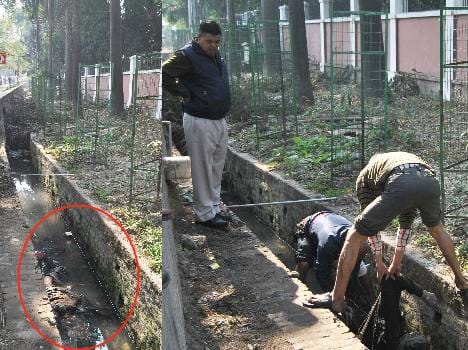 इटारसी: सूरजगंज में माहेश्वरी भवन के पास नाले में मिला युवक का शव