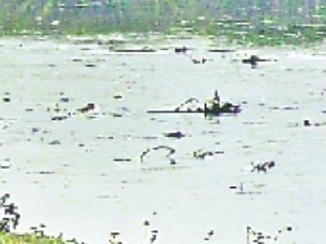 Hundreds of acres of crop steeped