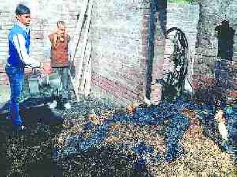 Organically in electoral rivalry, eight injured, including village head