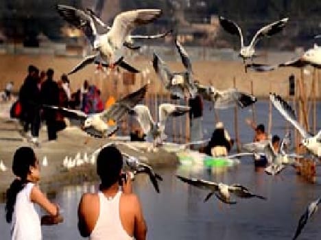 allahabad news