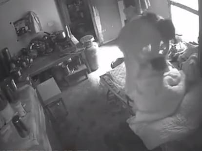 Another Video from Kaushambi where lady tortured her mother in law.