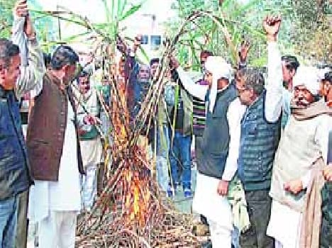 BKU activists burnt cane Holly