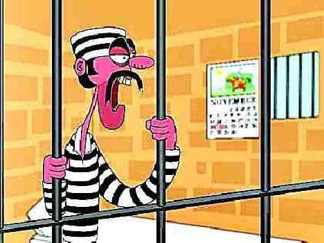 mobile found at the checking time in rohtak jail