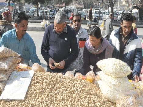 Lohri