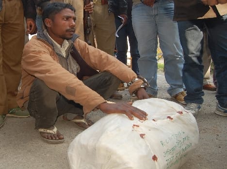 Tiger skins including murder arrested