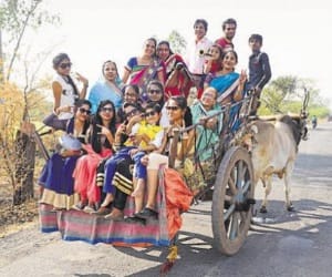 MP: bullcart is costly than air fare