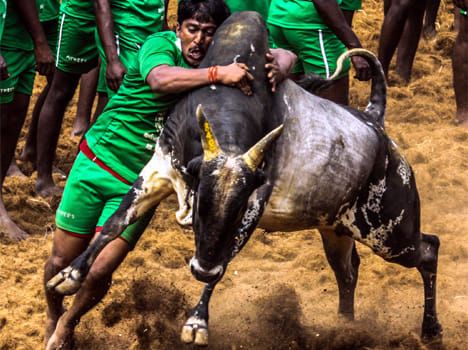 dalits atrocities in tamilnadu
