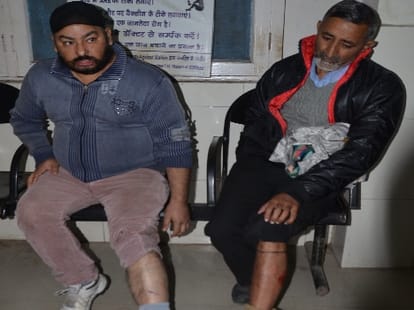 terror of the mad dog in jammu