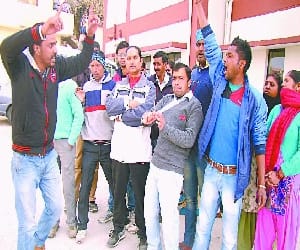 killing of cow