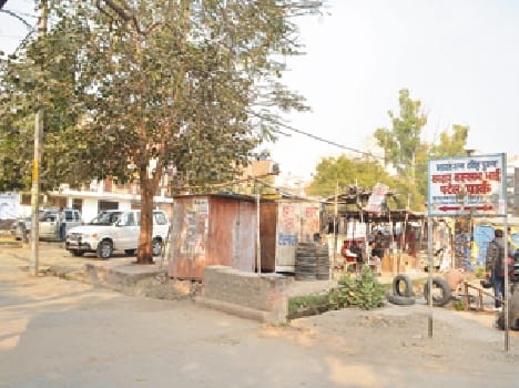 Amrit will plan the city's parks oxygen