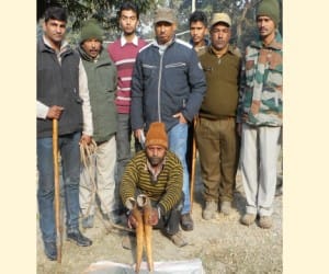 smuggler arrested with elephant teeth.