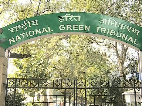 NGT stays construction in Kasauli solan