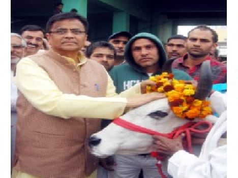 econamy will merge product of cow