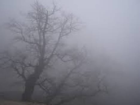 fog start, winter's bunce back