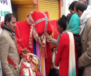 devotees came with devdoli in haridwar ardhkumbh.