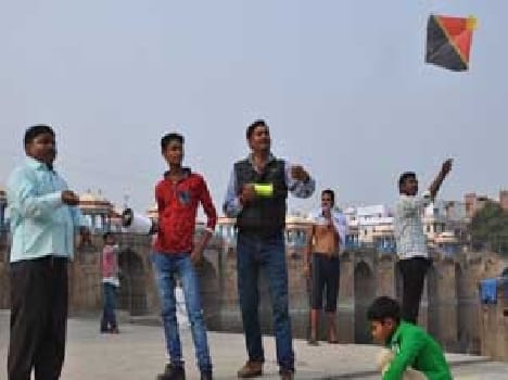 Makar sankranti celebrated