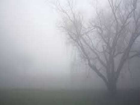 Winter in Meerut