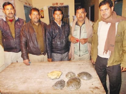 Smugglers leaving a sack full of Turtles