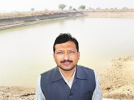 After irrigation pond quench the thirst of cattle