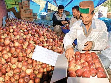 farmer have to give no affidavit for govt schemes in himachal