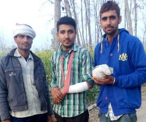 three injured by monkey. 