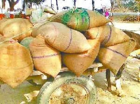 Traders sold the wheat quota was 15 sack