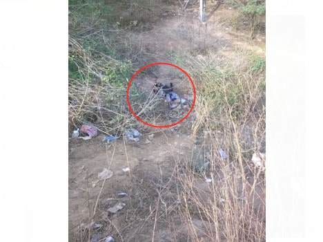half burnt dead body of boy found in panchkula