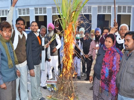 sugarcane lit in fire, demonstration