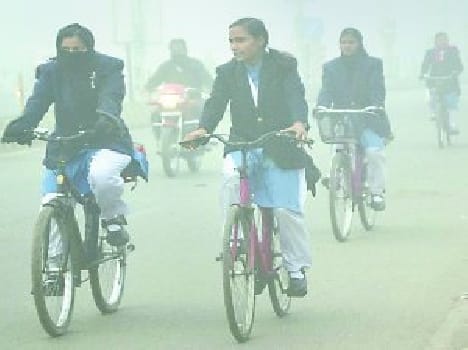 Mercury reached four degrees, people titure from cold