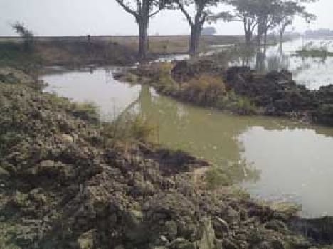 Minor broken left in water, crop steeped