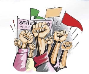 One Bigha cane torches opposes.
