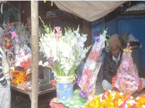 Shalg moment to decide cultivation of gladiolus