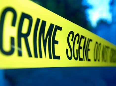 murder case solved in five days