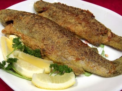 trout fish of England is the most delicious fish today.