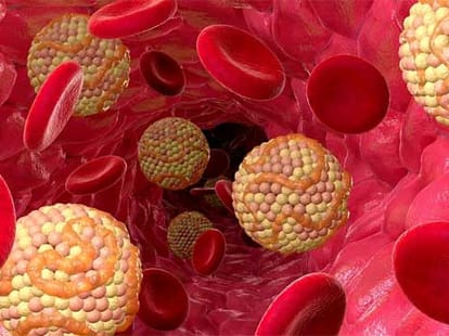 now american experts claims that cholesterol is not dangerous