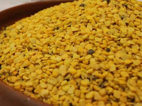khesari dal is  not safe