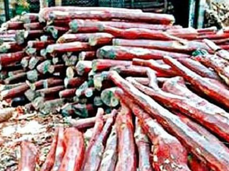 sandal woods worth 25 crore seized by police