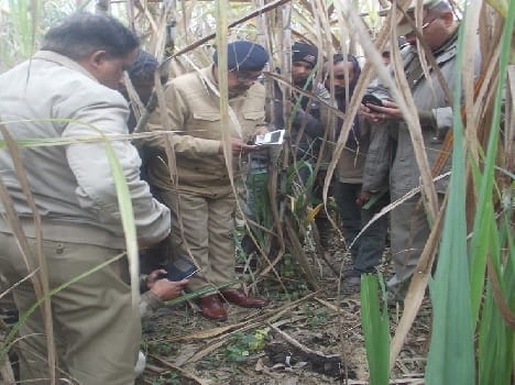 dead body parts of women found