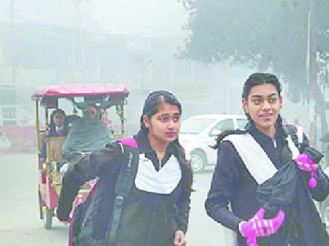 City hit by cold wave