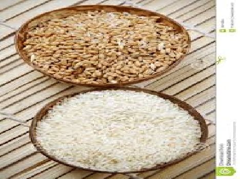 Food Security Act investigation questioned