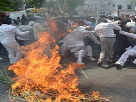 Reports of agriculture in Meerut