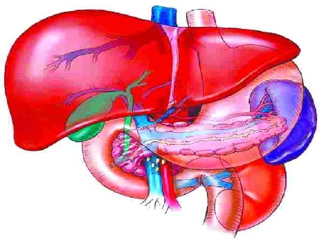 easy cure of hapetitise B and C in rohtak PGI