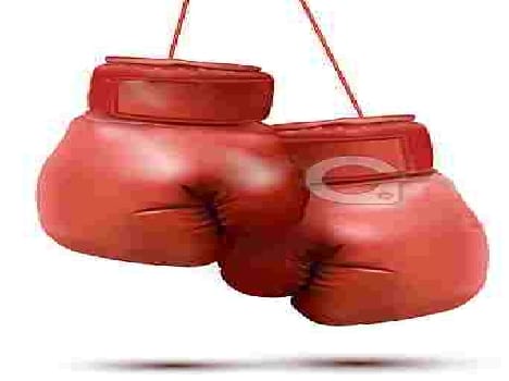 haryana boxer won in chennai