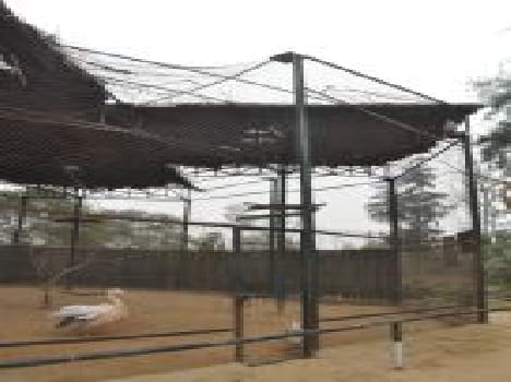 animal affecected in tiliyar zoo rohtak
