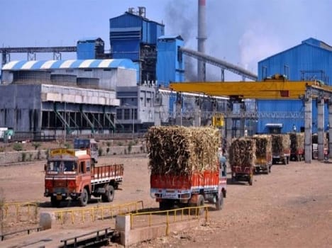 record recovery in sugar in up