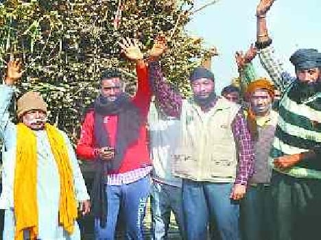 display of farmers 