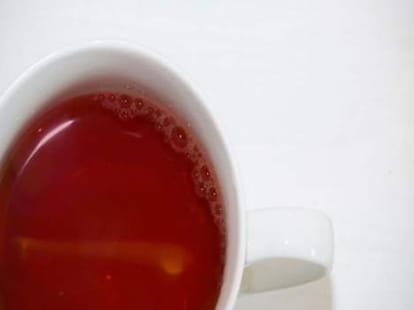 blood drinking real vampire