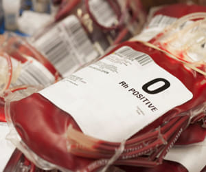 online portal for blood stock.