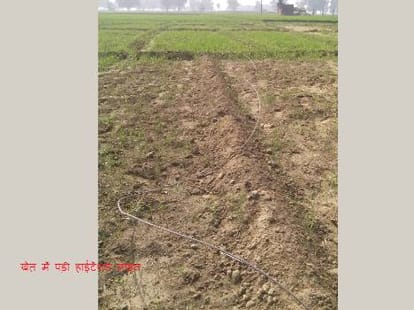 Eight died in different accidents in UP.