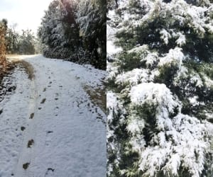 weather will change in january last.